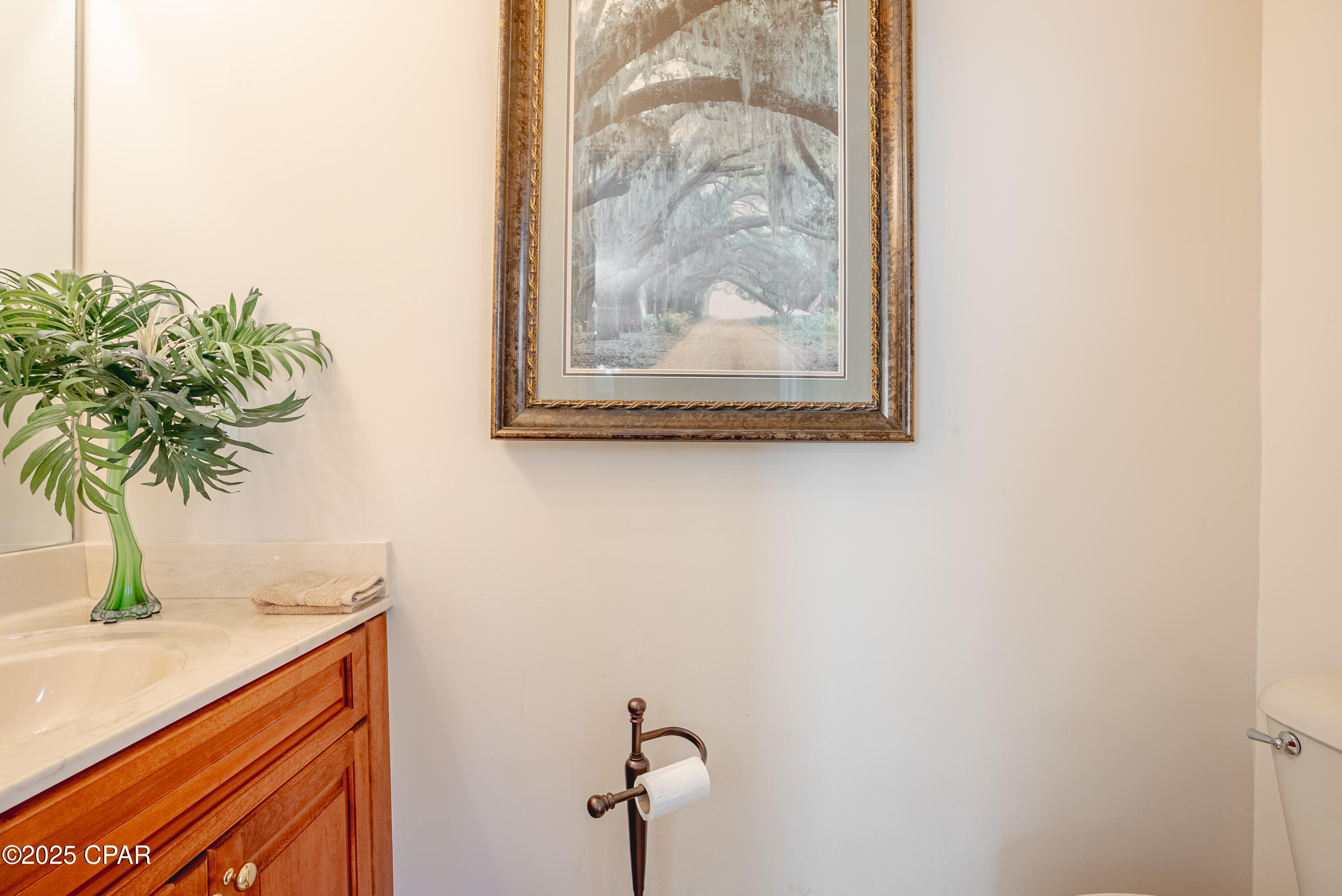 Image 32 For 231 Middleburg Drive