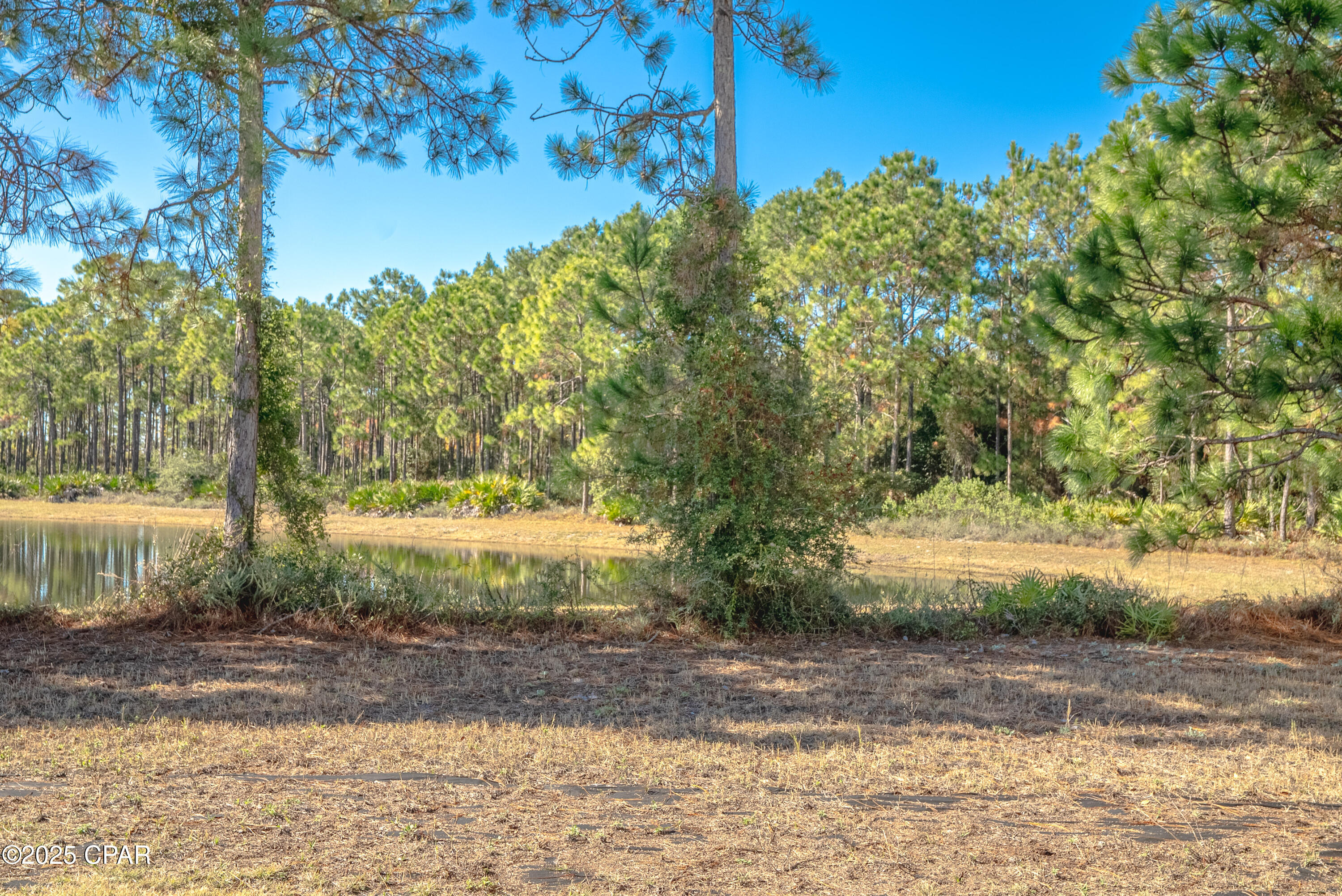 Image 44 For 231 Middleburg Drive