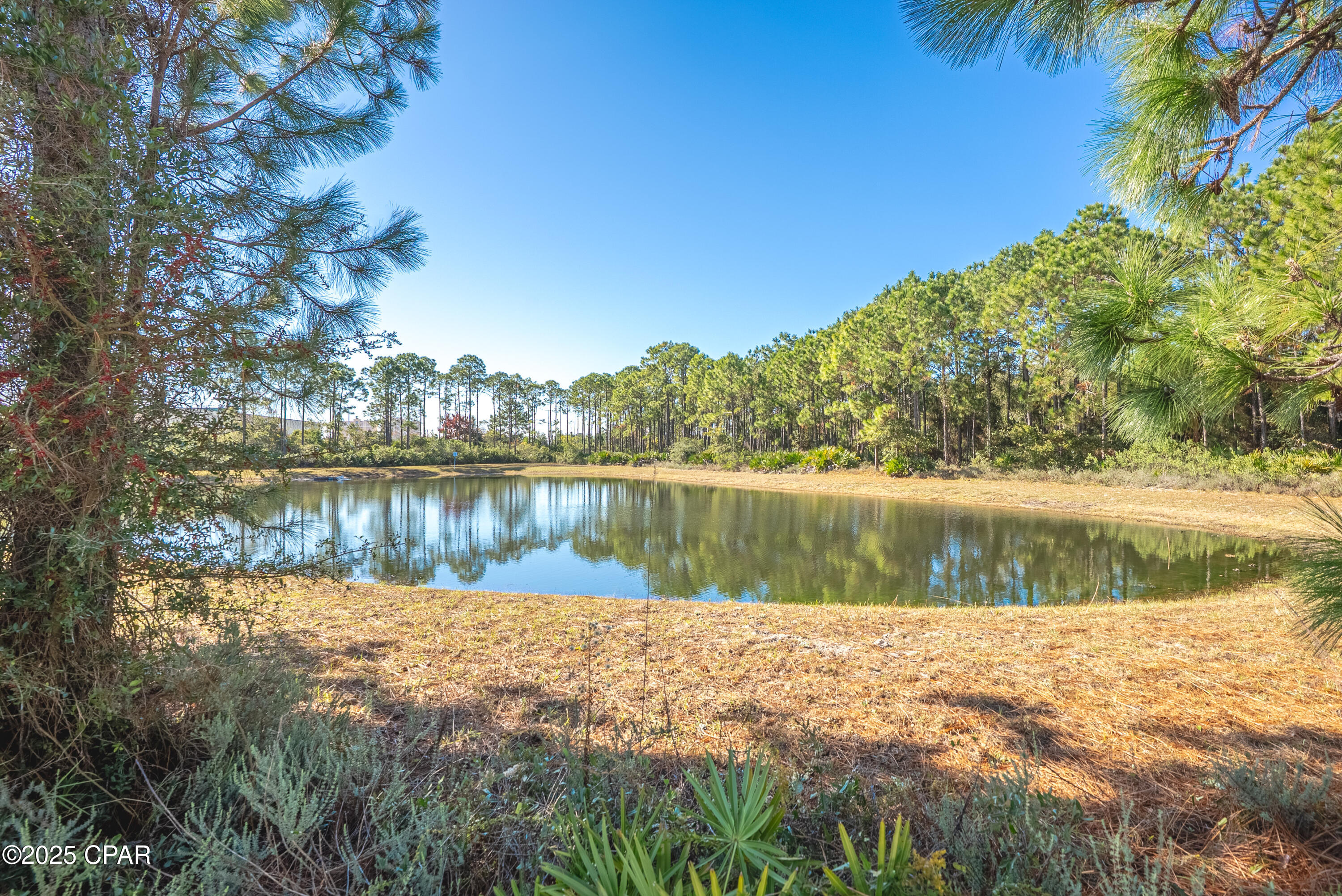 Image 48 For 231 Middleburg Drive