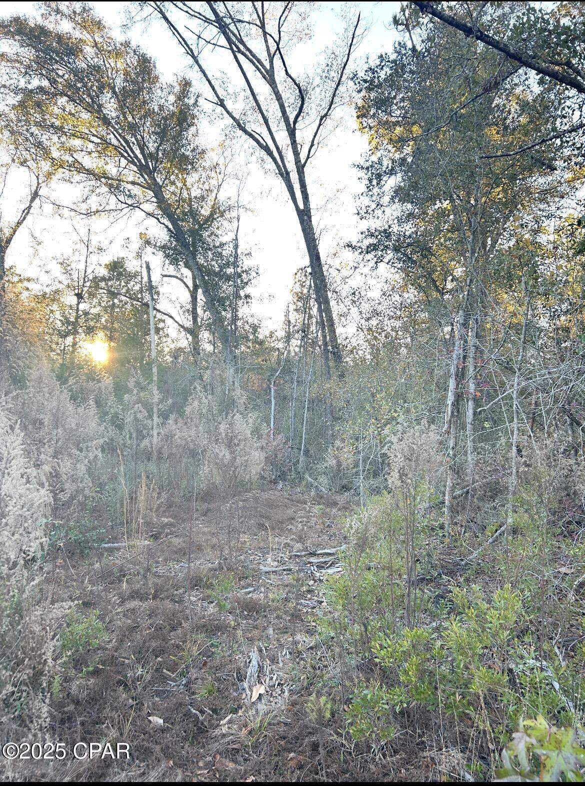 Image 1 For Tbd Highway 90