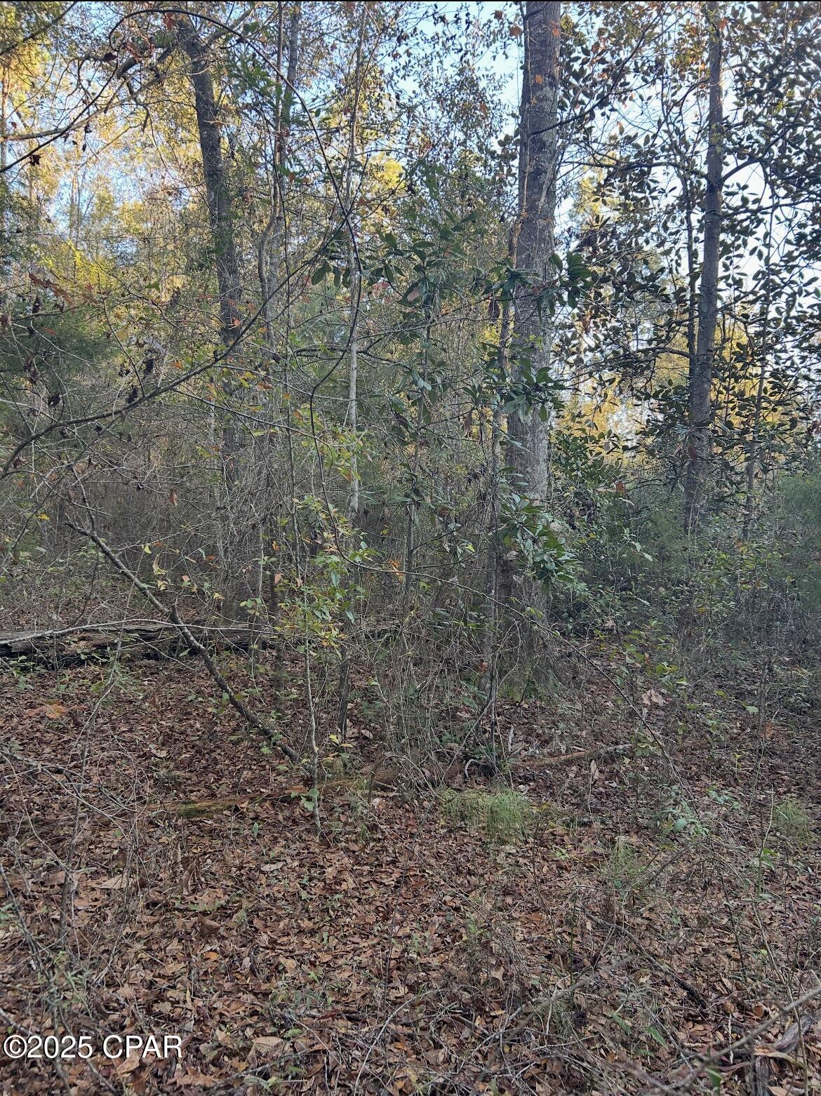 Image 3 For Tbd Highway 90