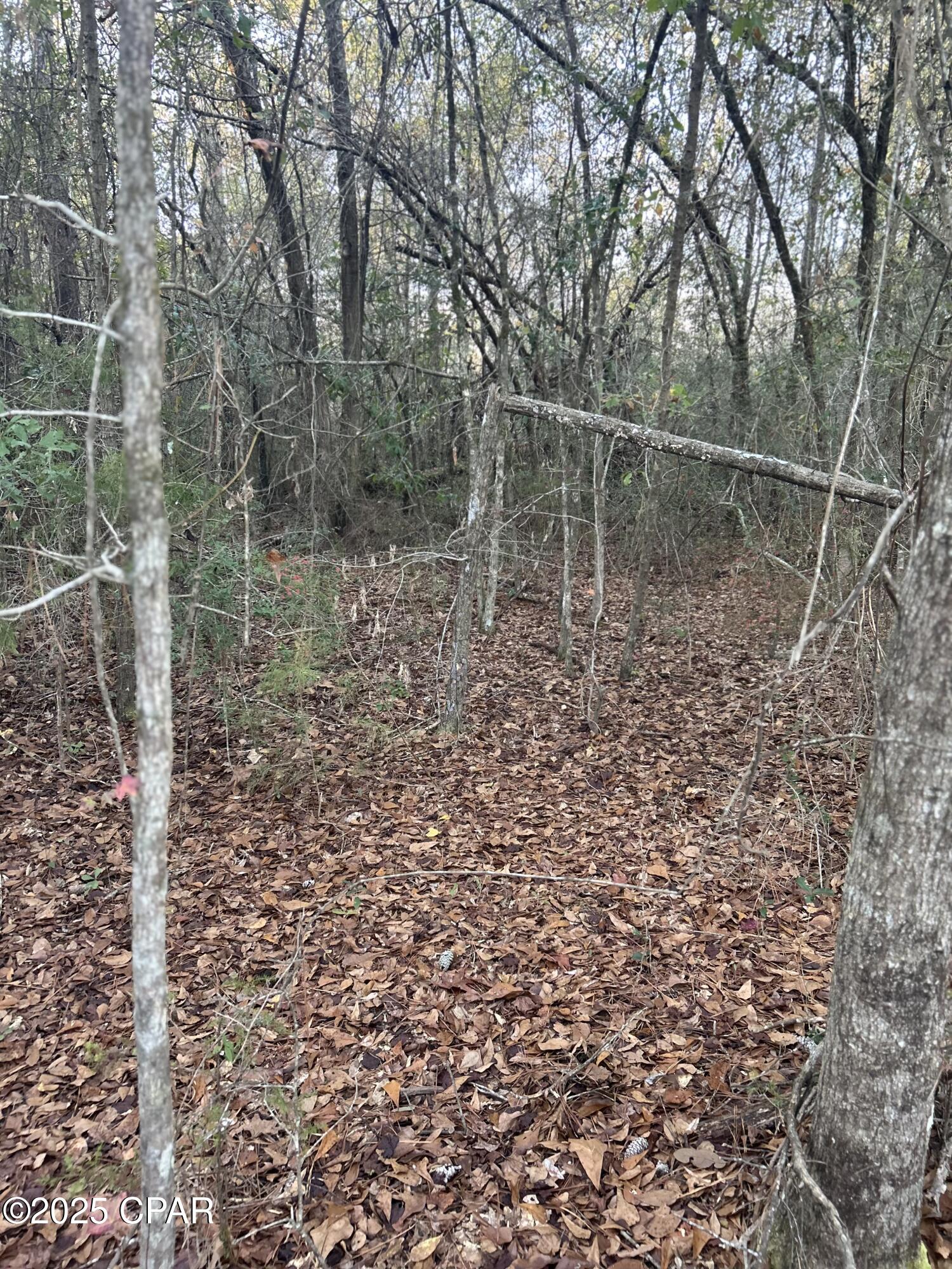 Image 4 For Tbd Highway 90