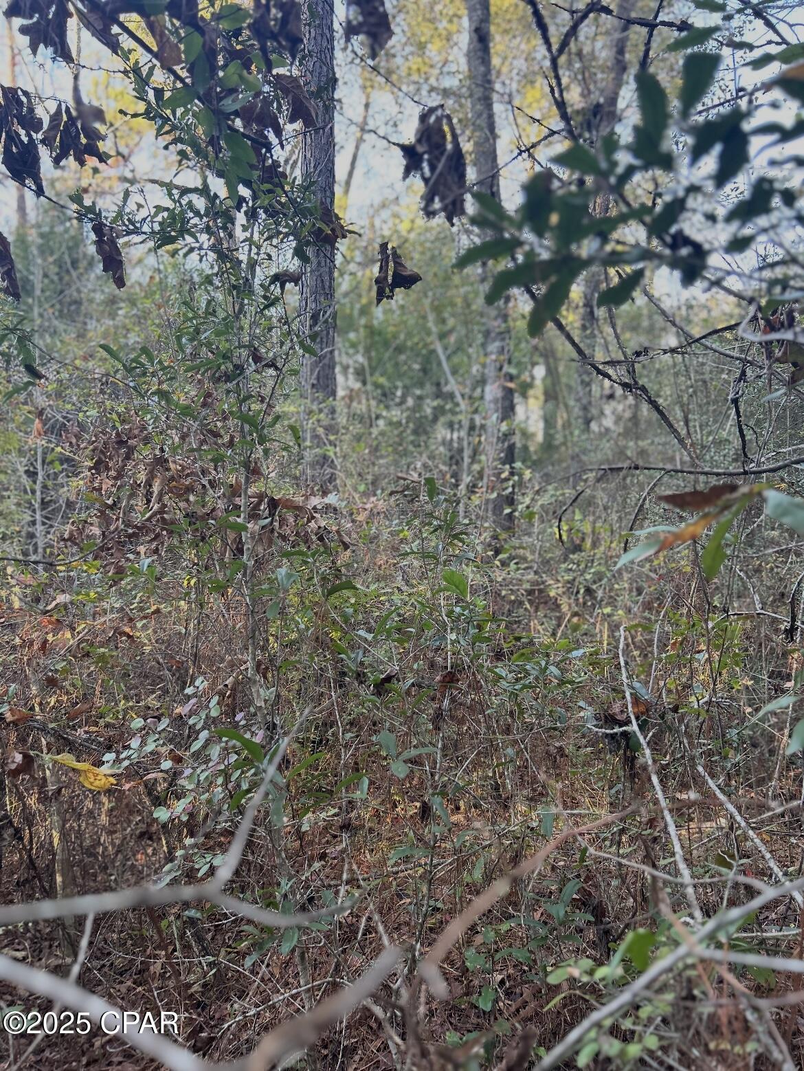 Image 5 For Tbd Highway 90