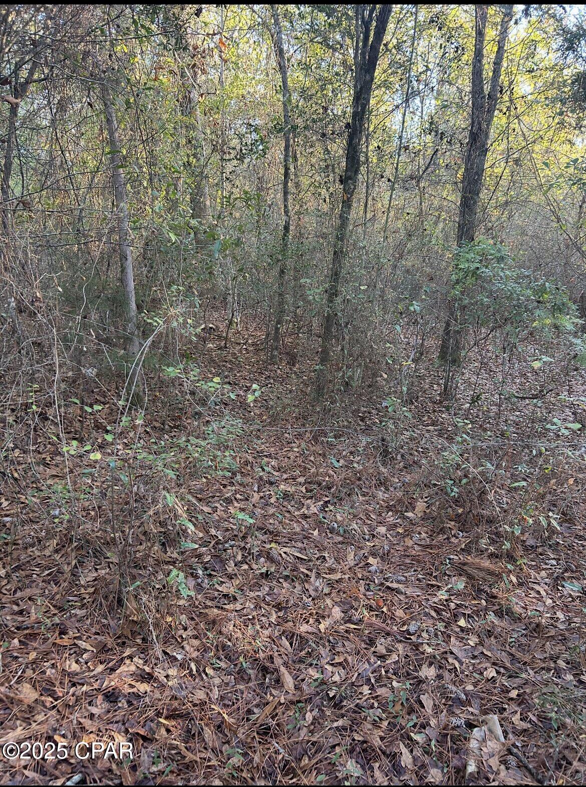 Image 6 For Tbd Highway 90