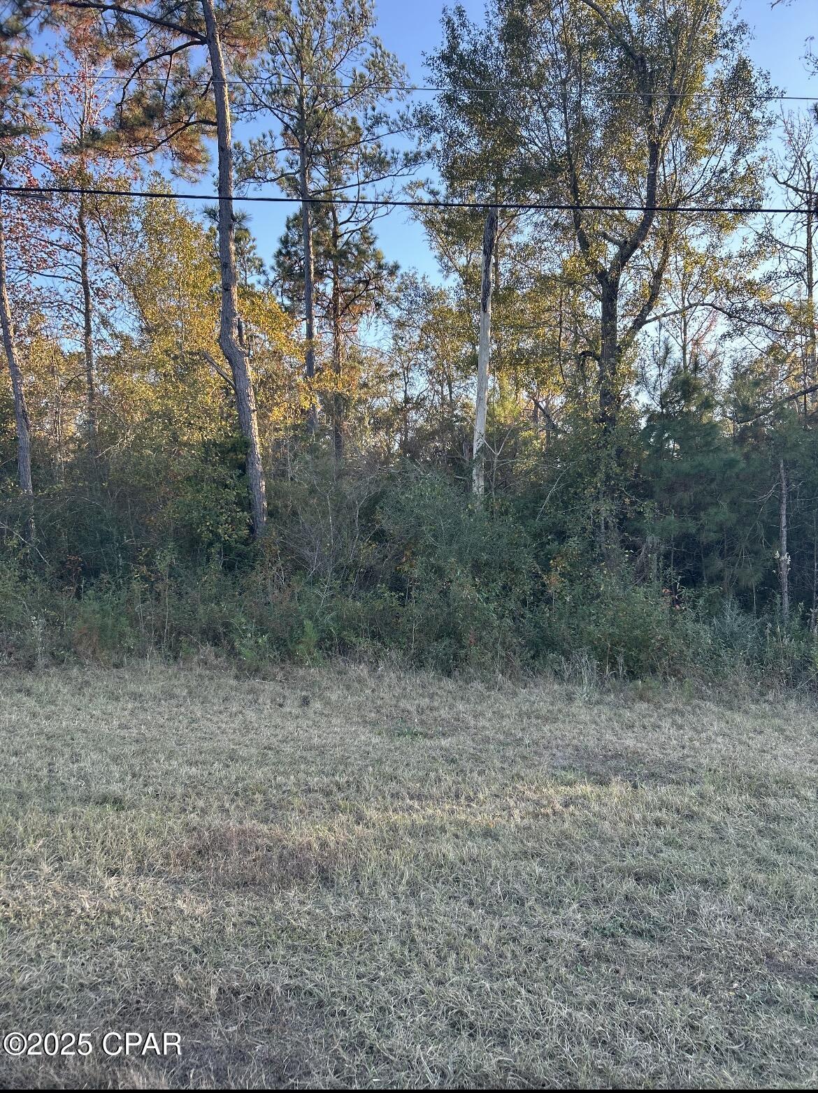 Image 7 For Tbd Highway 90