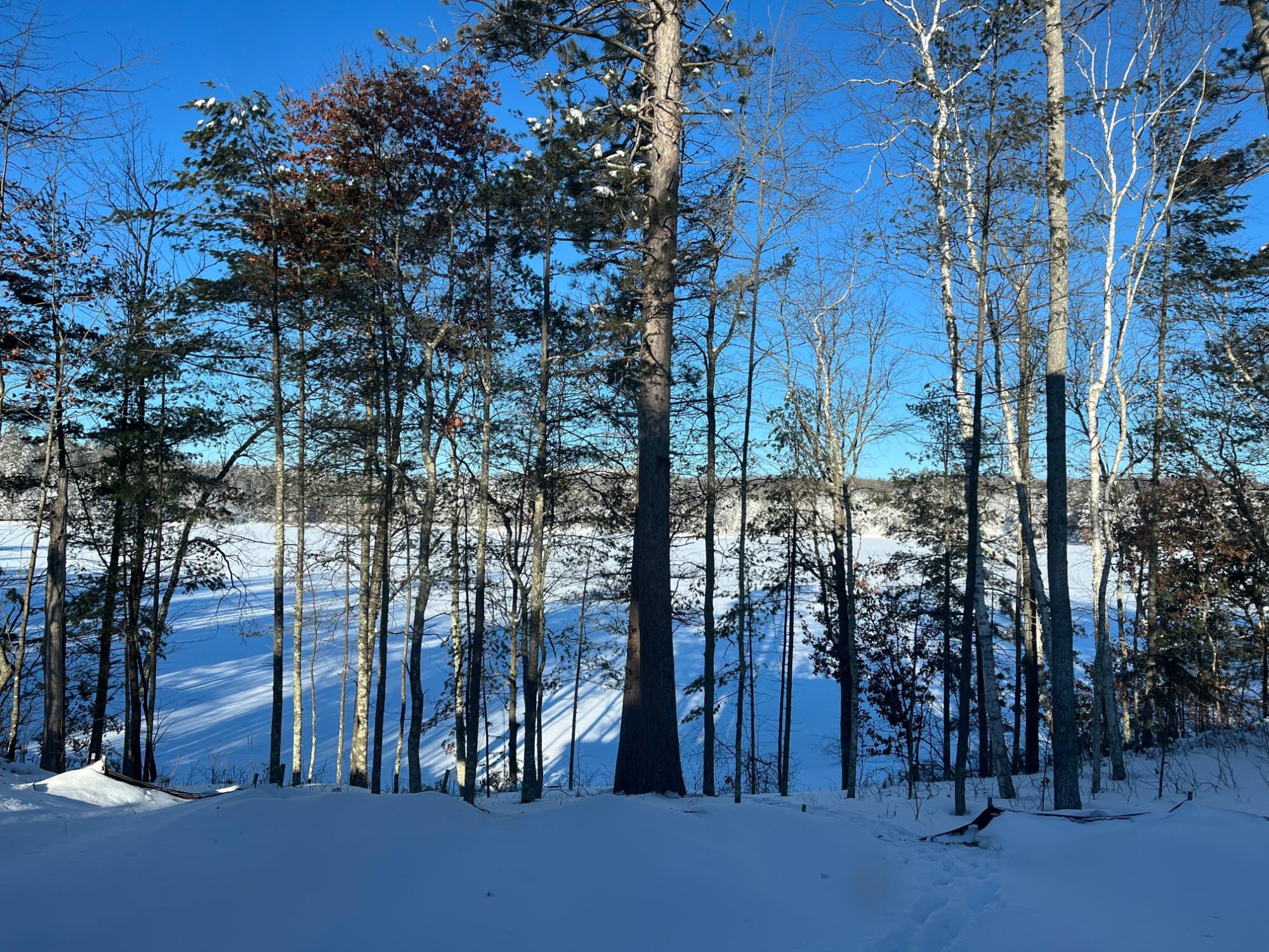 Marion Lake Property 8509 Rolling Bear Tr Photo 26