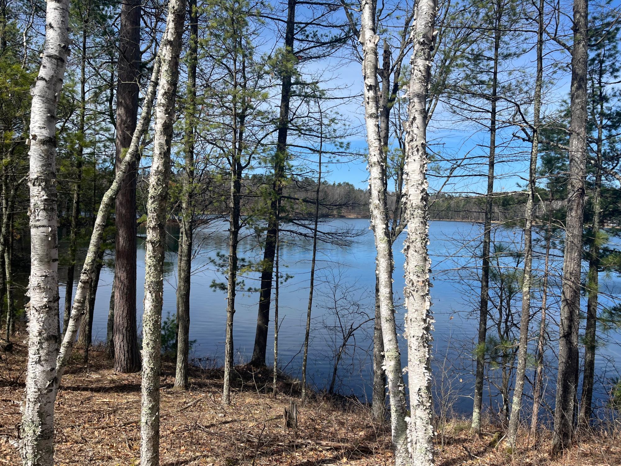 Marion Lake Property 8509 Rolling Bear Tr Photo 39