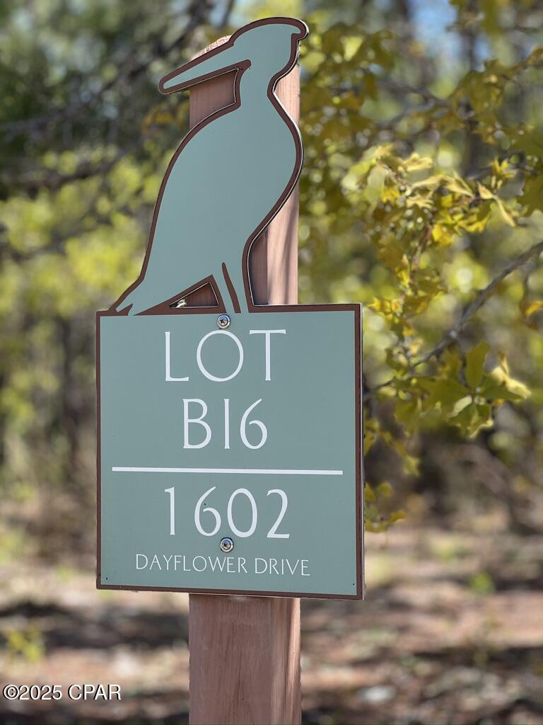 Image 1 For 1602 Dayflower Drive