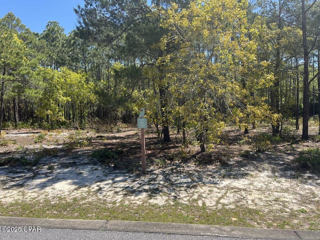 Image 7 For 1602 Dayflower Drive