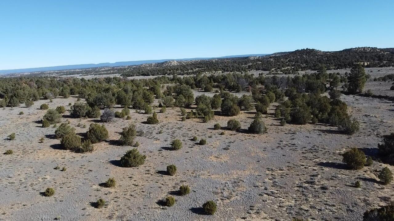 Homes for sale in Ramah, NM | Tbd Arrowhead Rd, Ramah, NM 87321 | MLS# 1095599