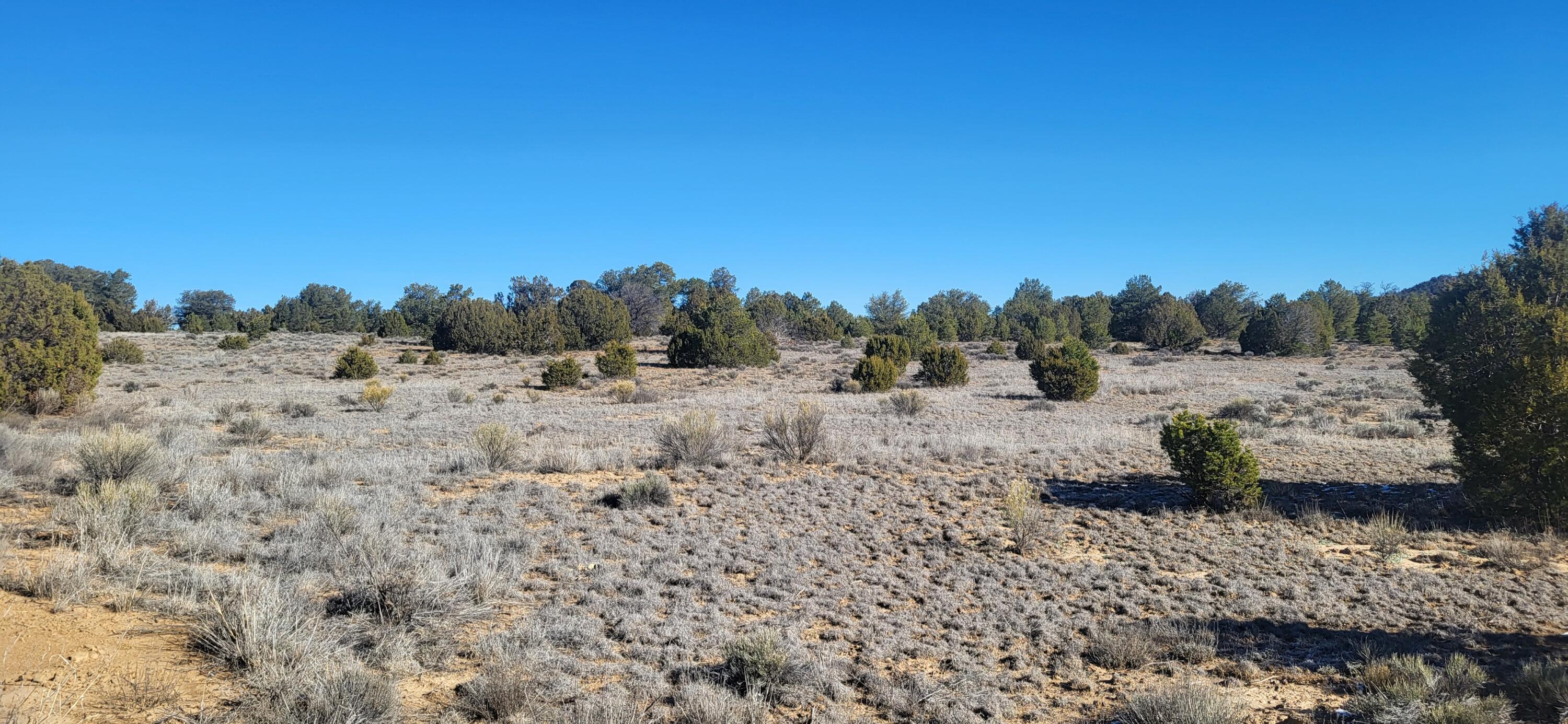 Homes for sale in Ramah, NM | Tbd Arrowhead Rd, Ramah, NM 87321 | MLS# 1095599