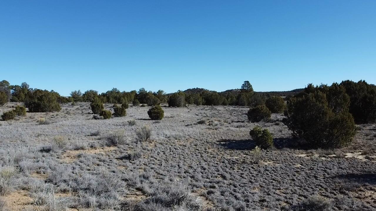 Homes for sale in Ramah, NM | Tbd Arrowhead Rd, Ramah, NM 87321 | MLS# 1095599