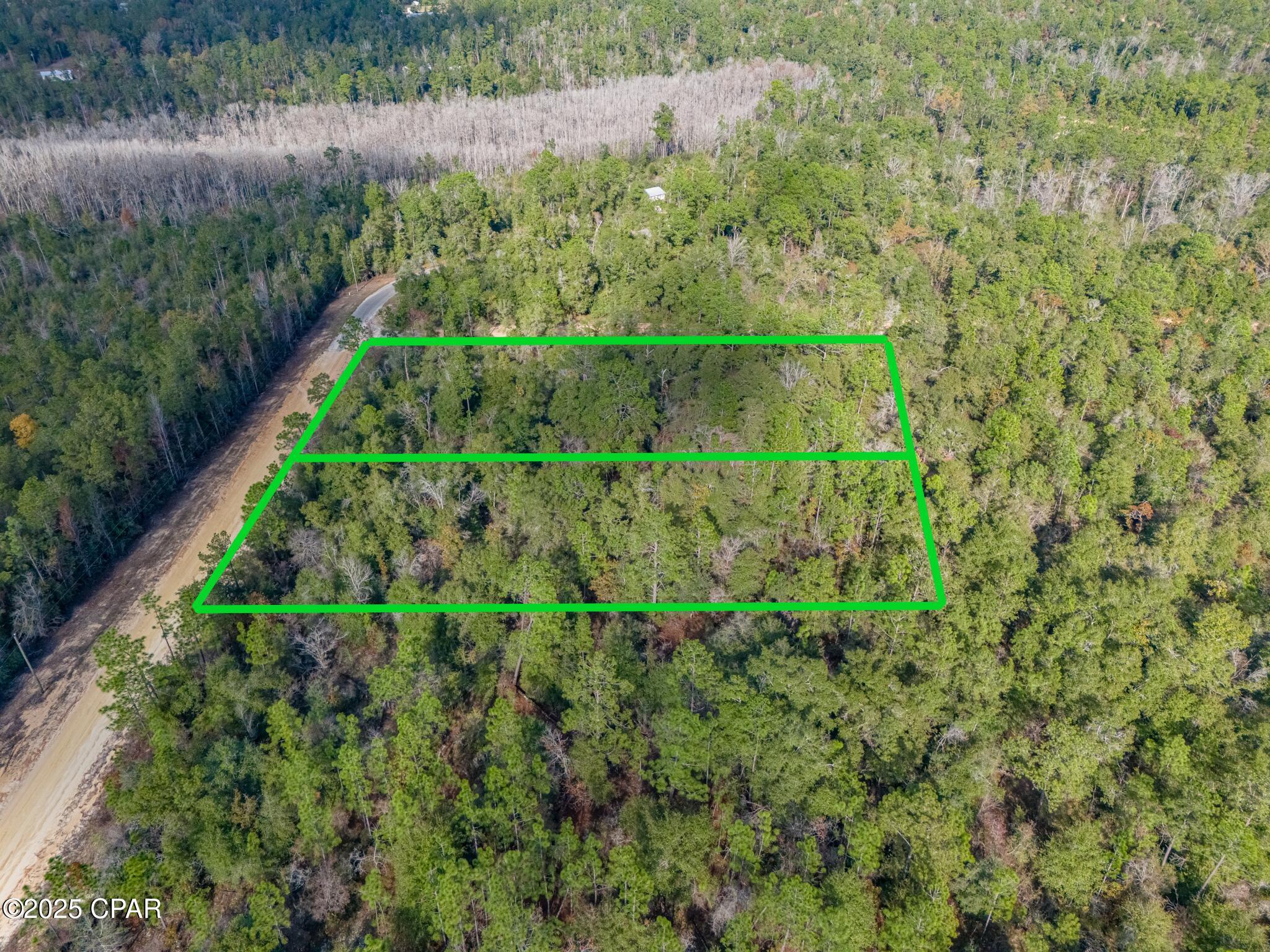 Image 4 For 1166 Alene Drive