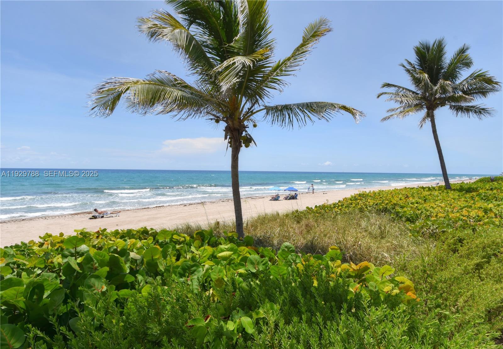 Homes for sale in Highland Beach, FL | 3101 S Ocean Blvd #118, Highland Beach, FL 33487 | MLS# A11929788