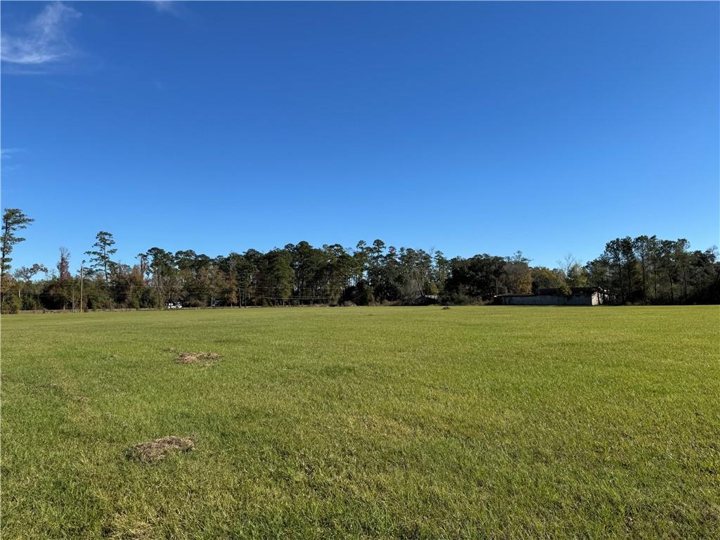 Homes for sale in Springfield, LA | Tbd 1-B Hwy 22 Hwy, Springfield, LA 70462 | MLS# 2533469