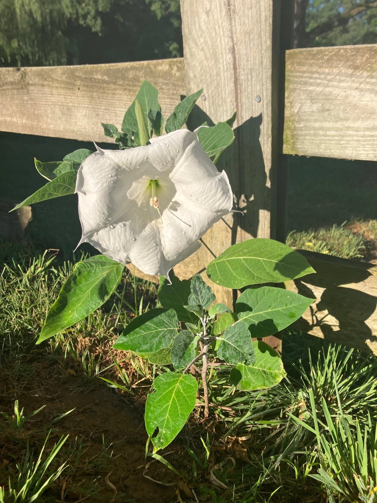 7011 South East Side Hwy