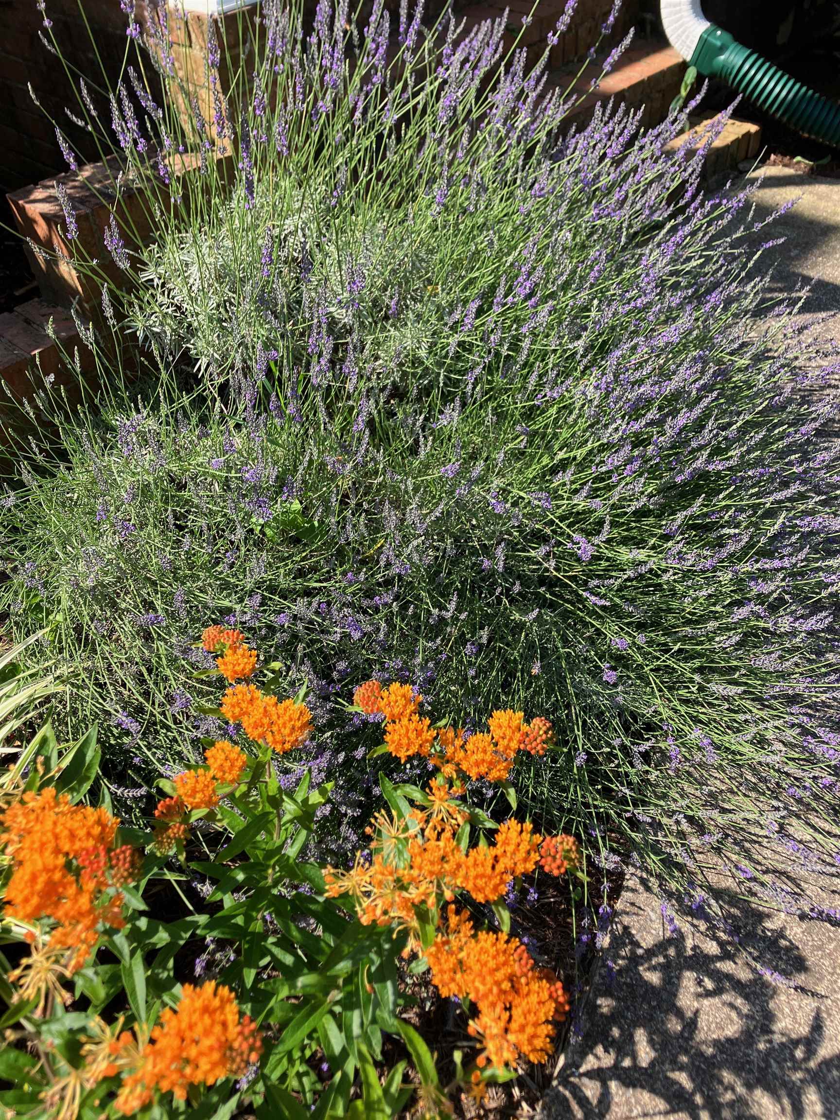 7011 South East Side Hwy