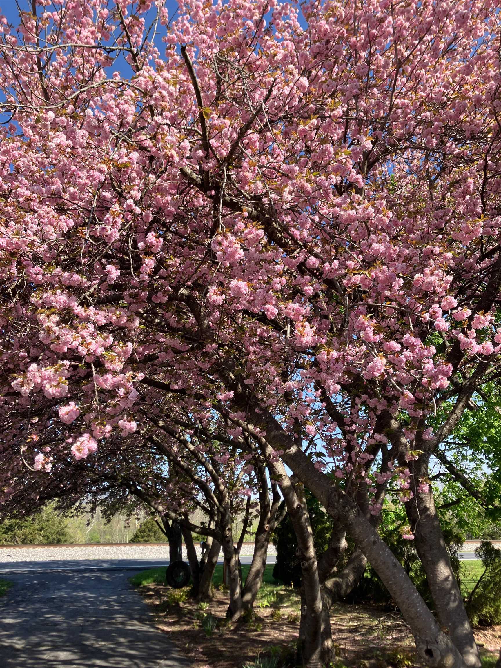 7011 South East Side Hwy