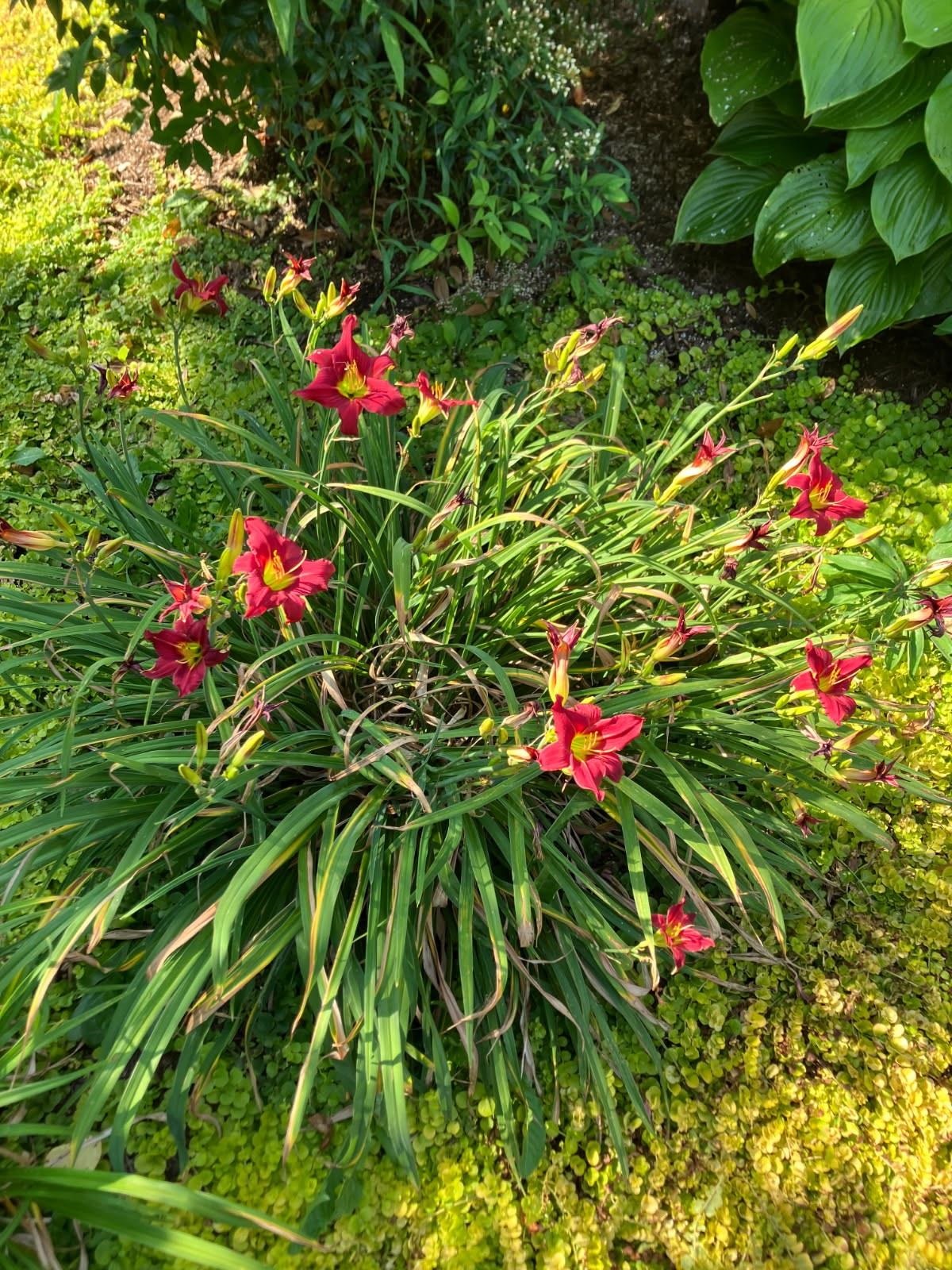 7011 South East Side Hwy