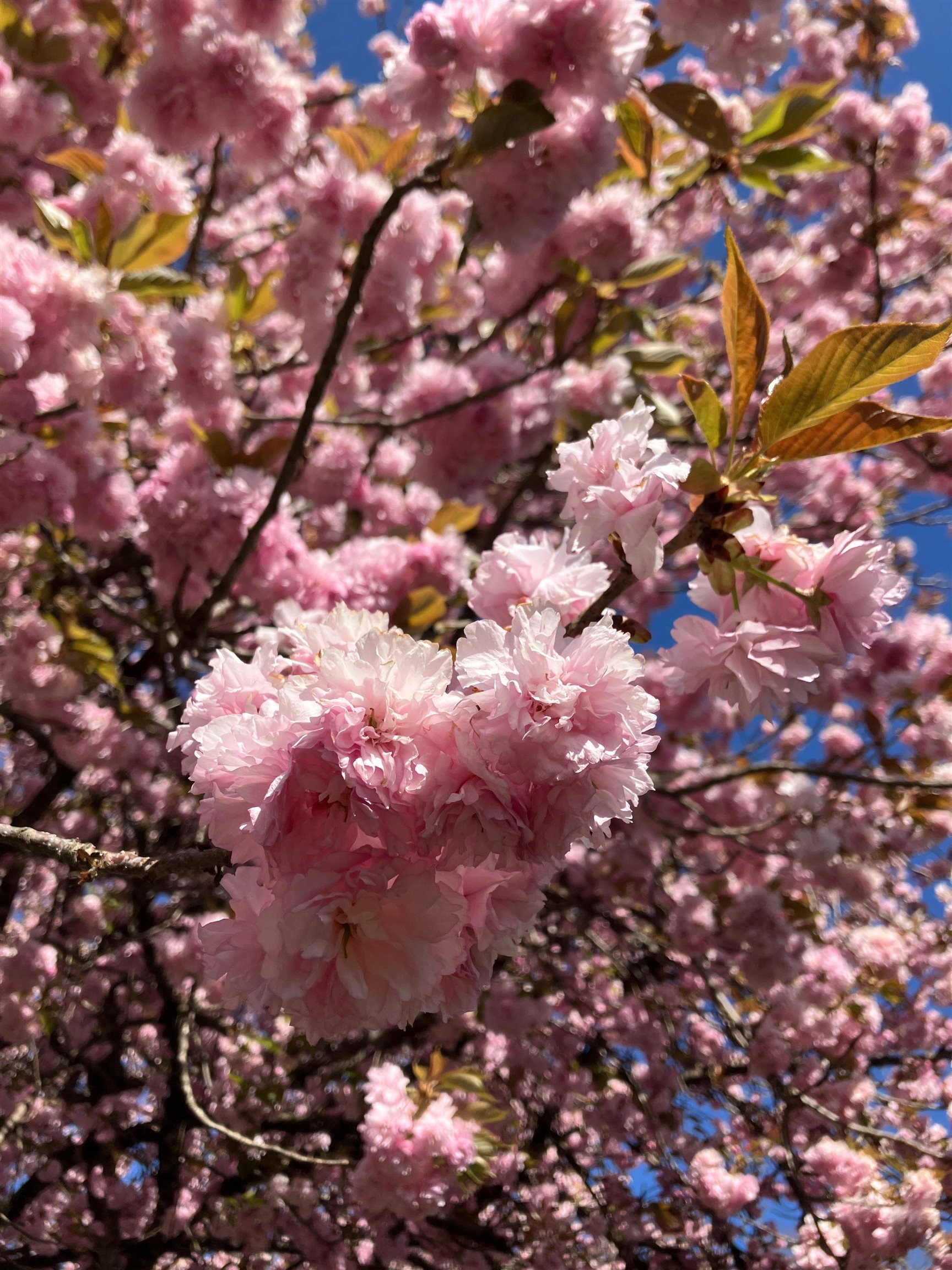 7011 South East Side Hwy