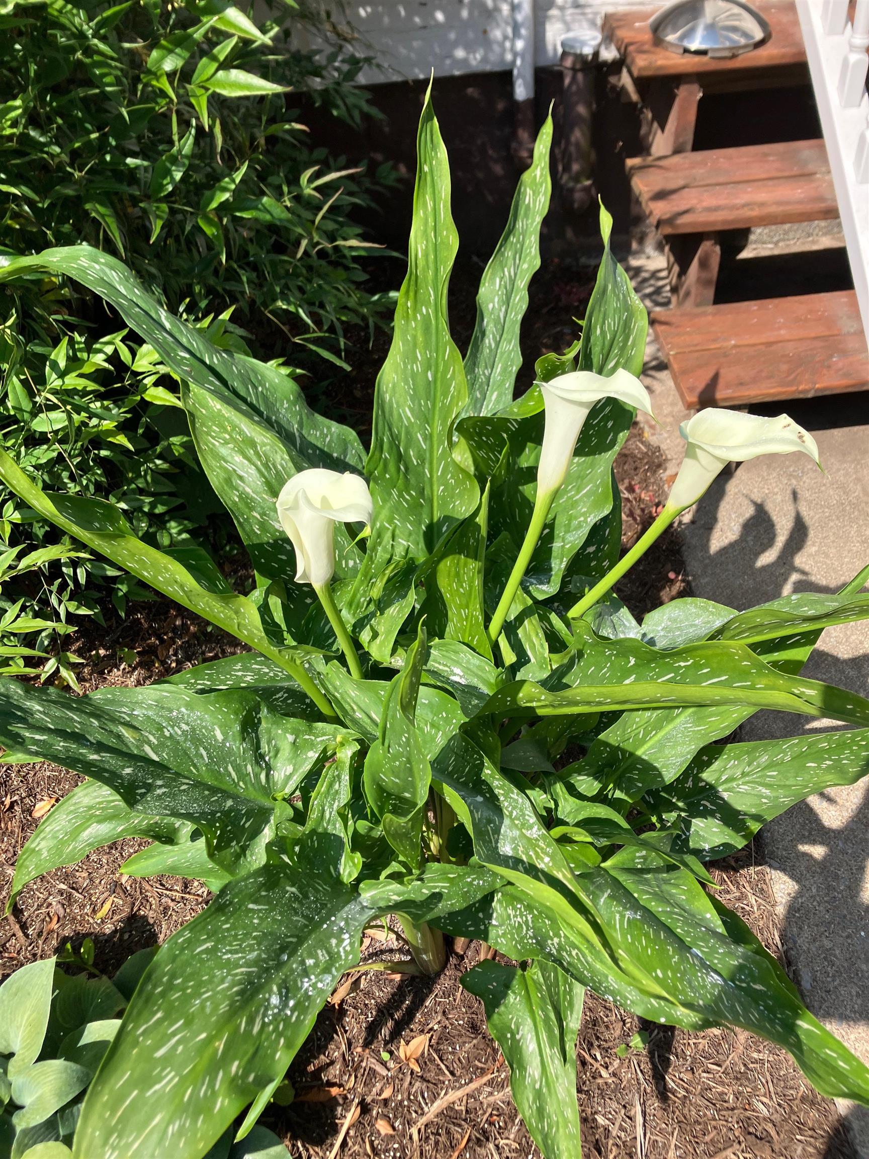 7011 South East Side Hwy