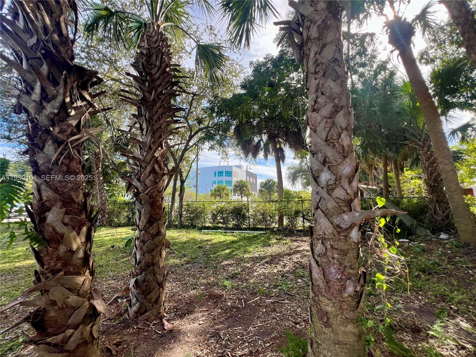 Lincoln Park Corr Plat