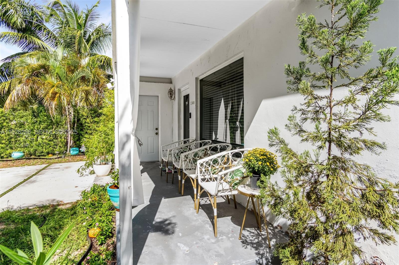 North Andrews Terrace Fir