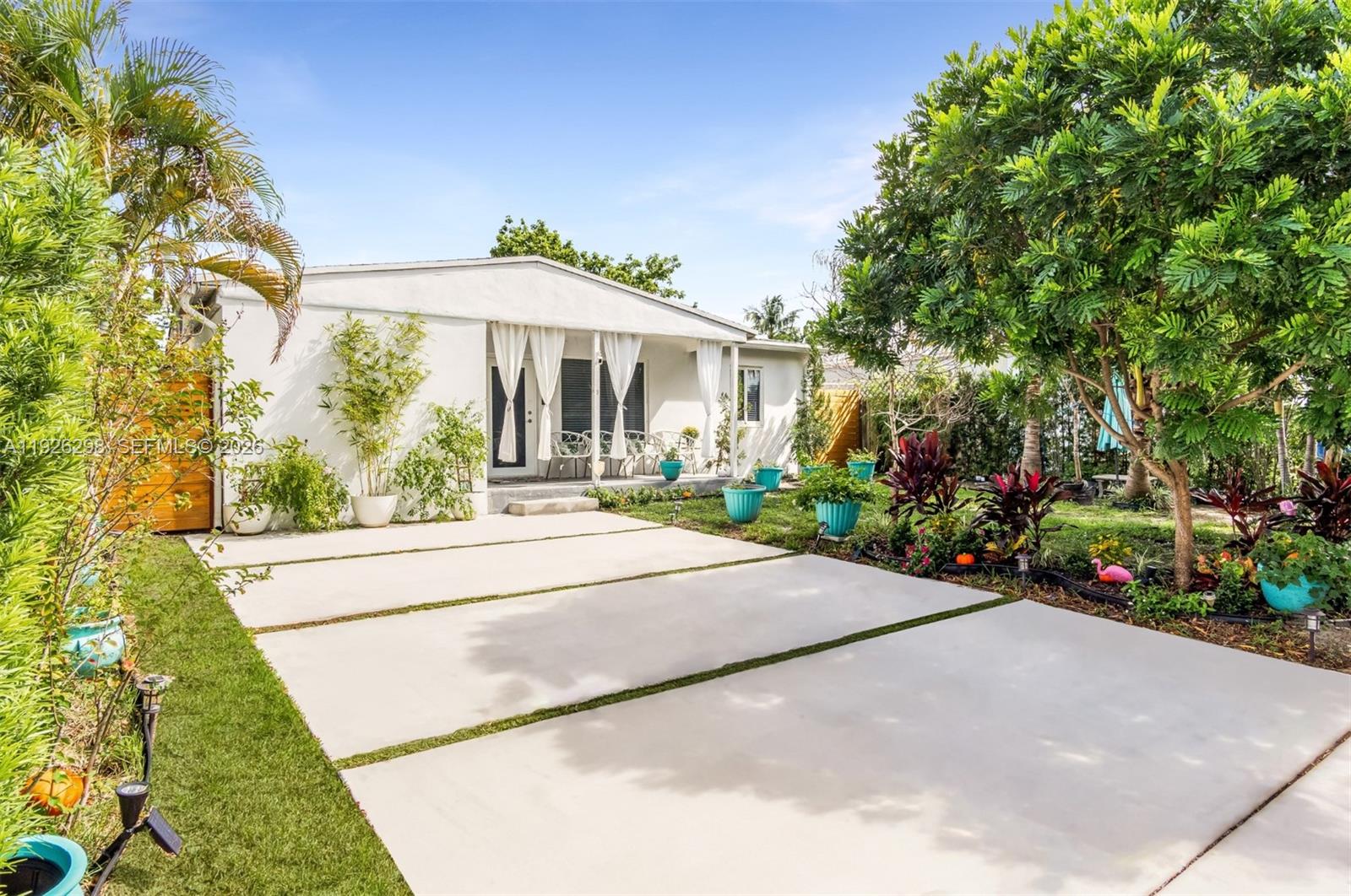 North Andrews Terrace Fir