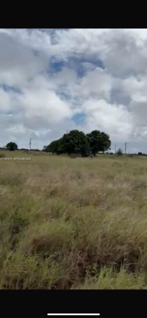 Basket Lake Groves Sec 07