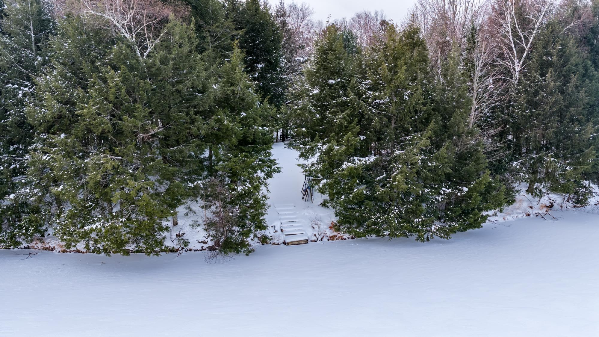 Booth Lake Property 12698 Birch Trail Rd Photo 56