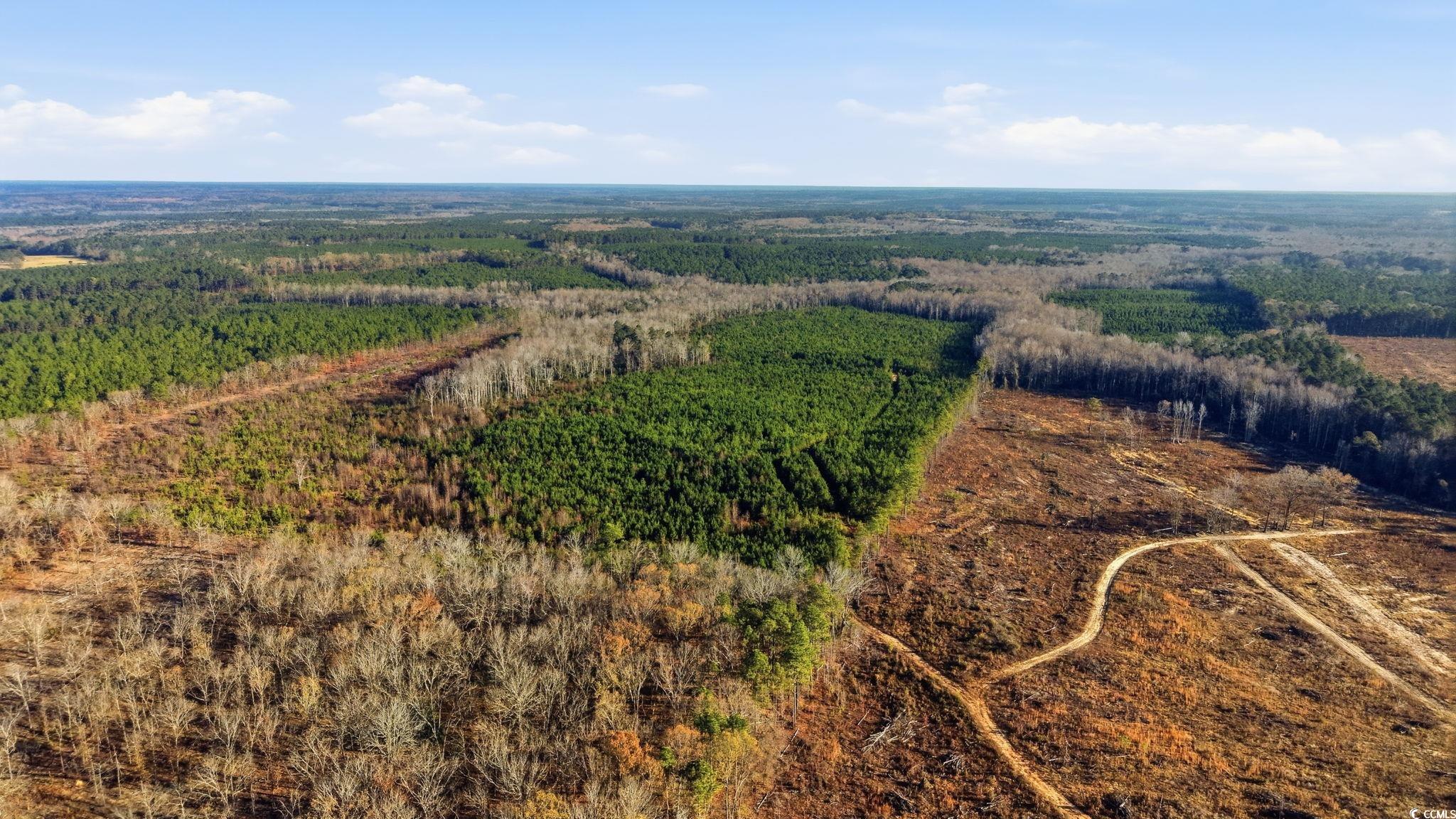 TBD Highway 34 Bishopville, SC 29010