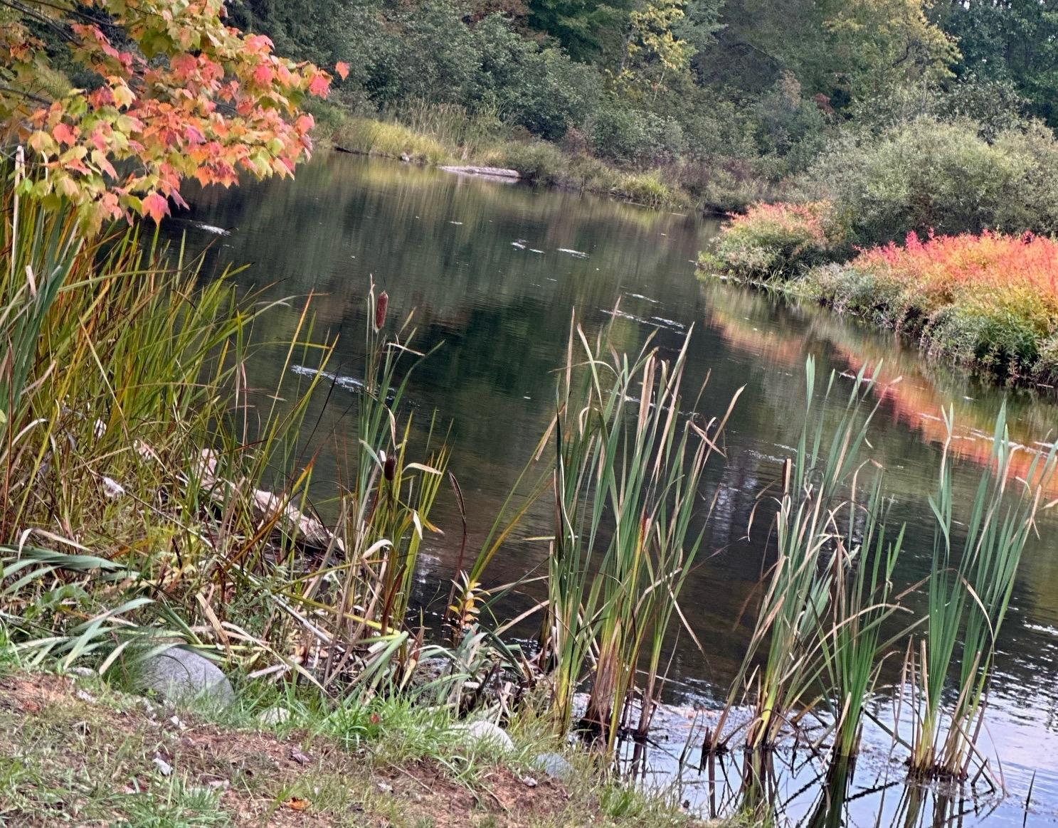 River Property Property 11305 Cth M Photo 22