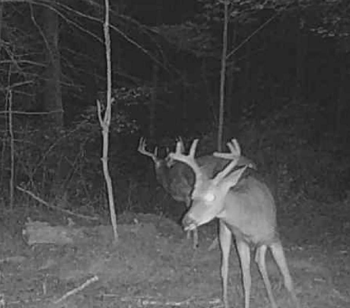 Undocumented Lake Property 11305 Cth M Photo 29