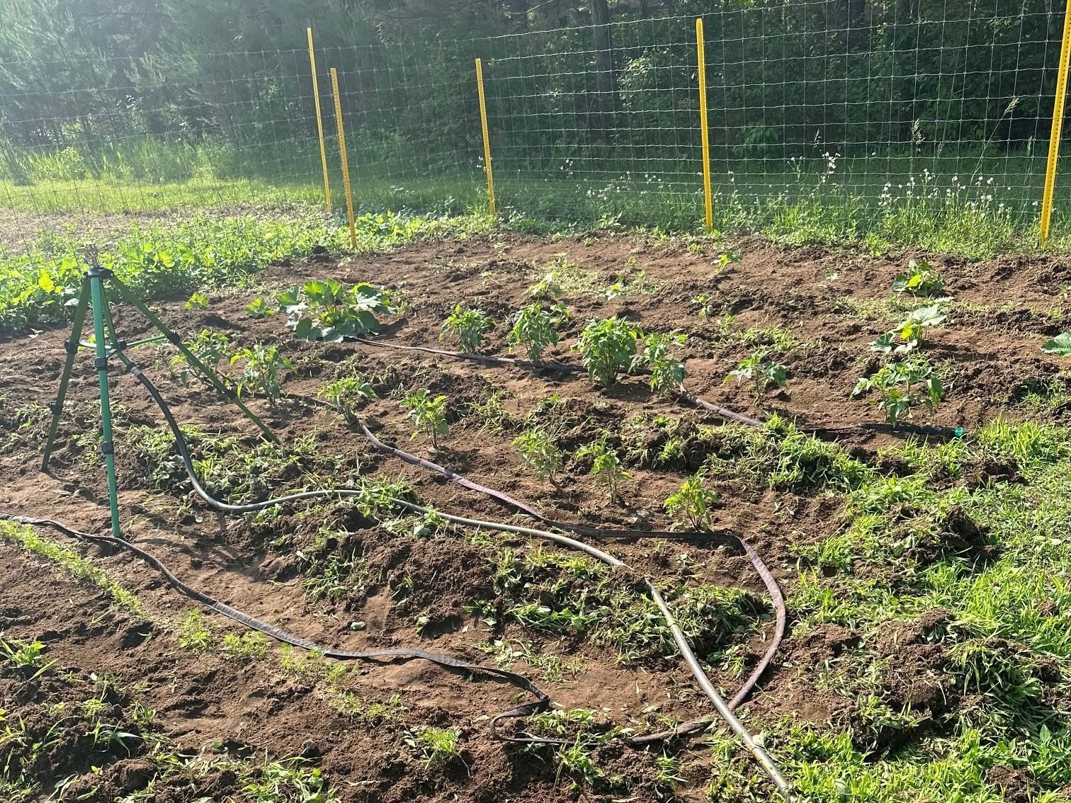 Undocumented Lake Property 11305 Cth M Photo 33