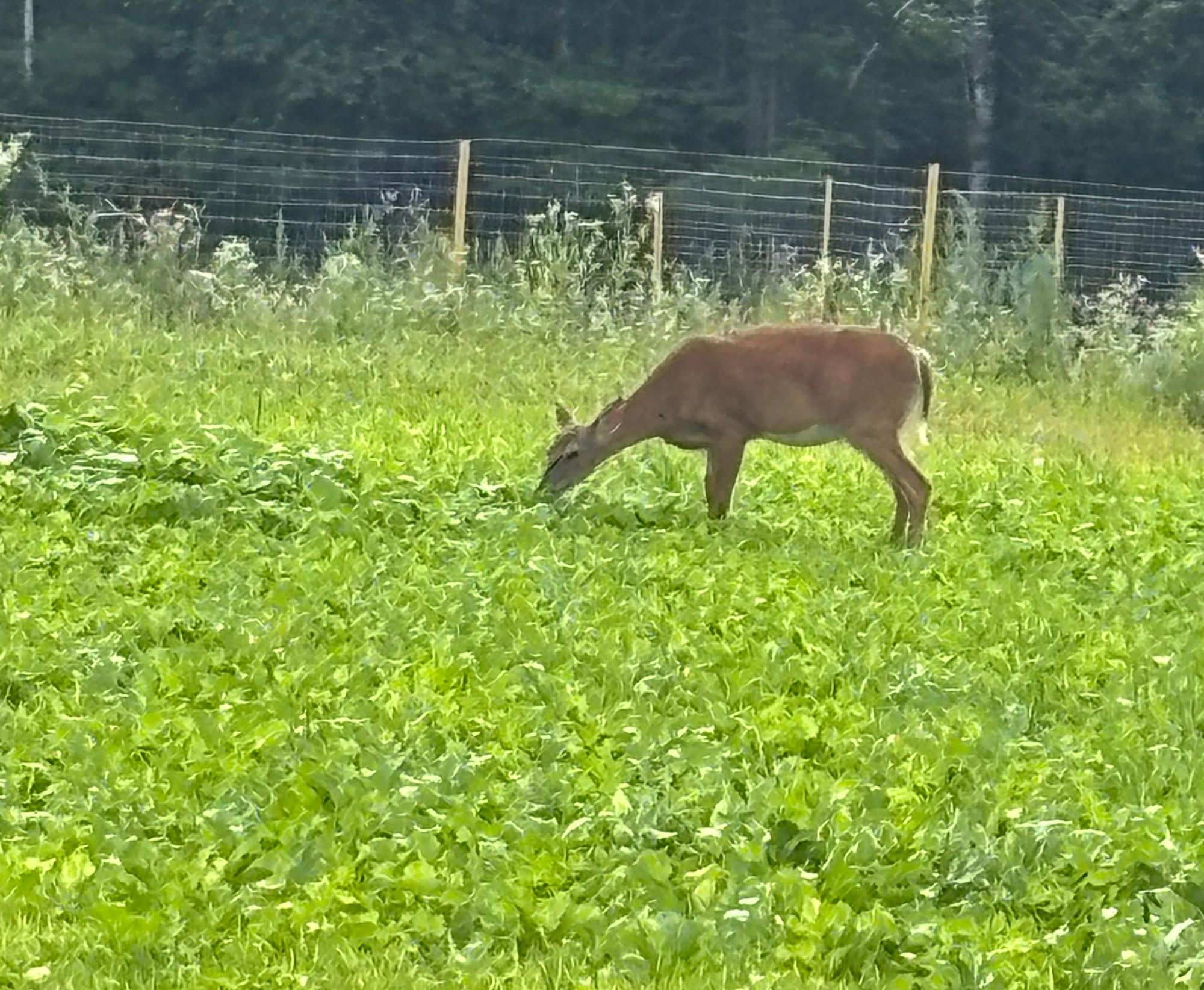 Undocumented Lake Property 11305 Cth M Photo 35