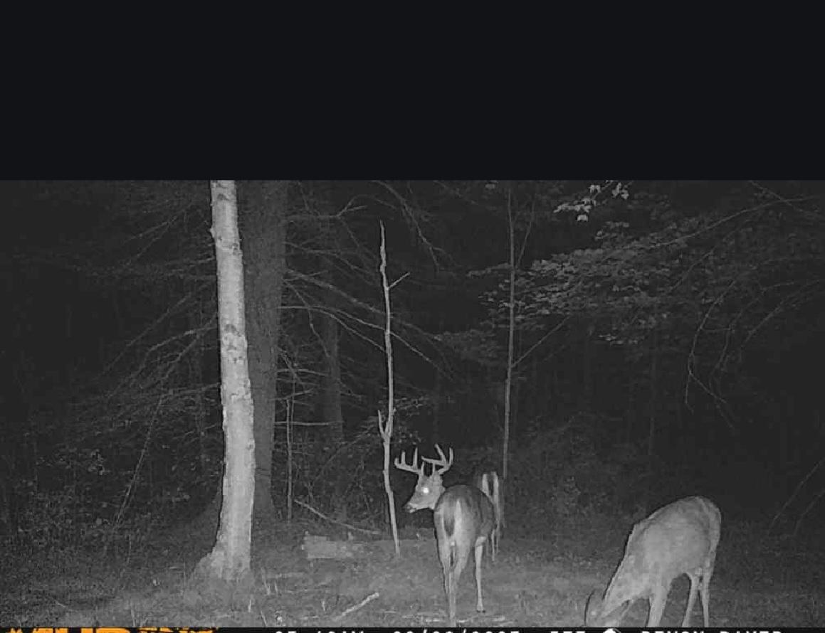 Undocumented Lake Property 11305 Cth M Photo 54