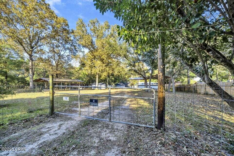 Image 32 For 211 Holland Road