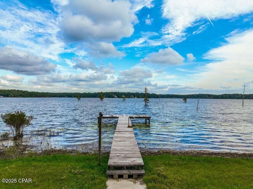 Image 34 For 211 Holland Road