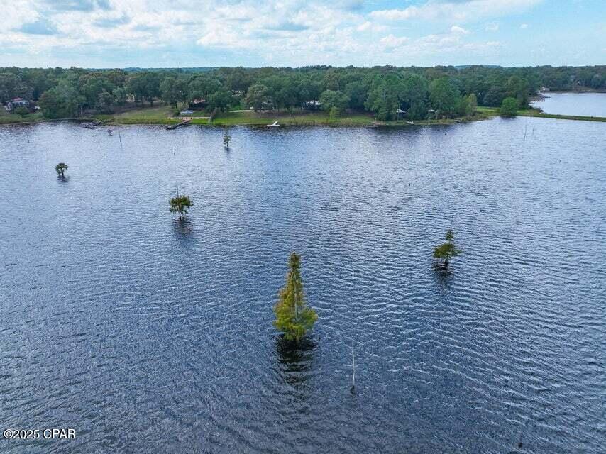 Image 36 For 211 Holland Road