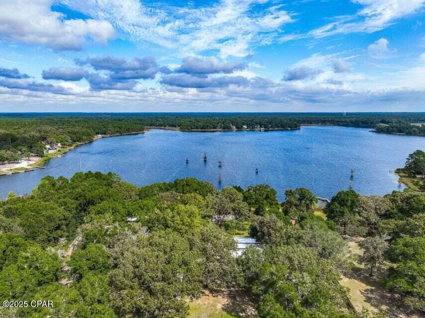 Image 38 For 211 Holland Road