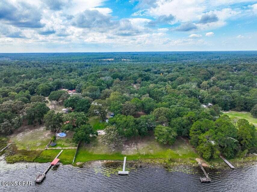 Image 41 For 211 Holland Road