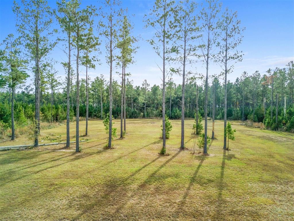 0 Abie Fontenot Road — photo 2
