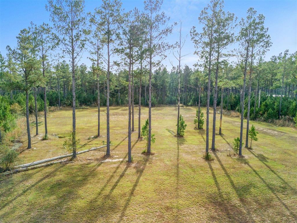 0 Abie Fontenot Road — photo 3