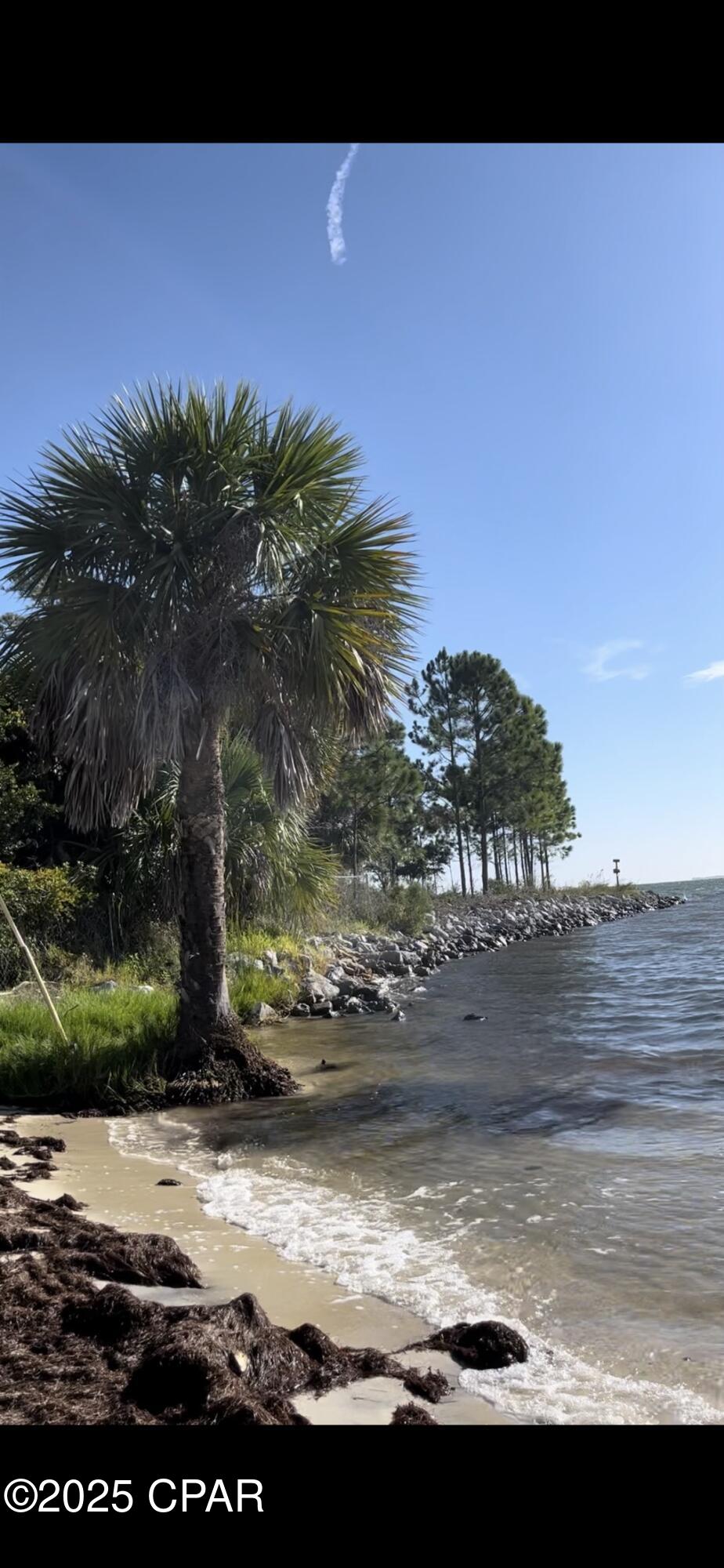 Image 17 For 344 Hollywood Boulevard