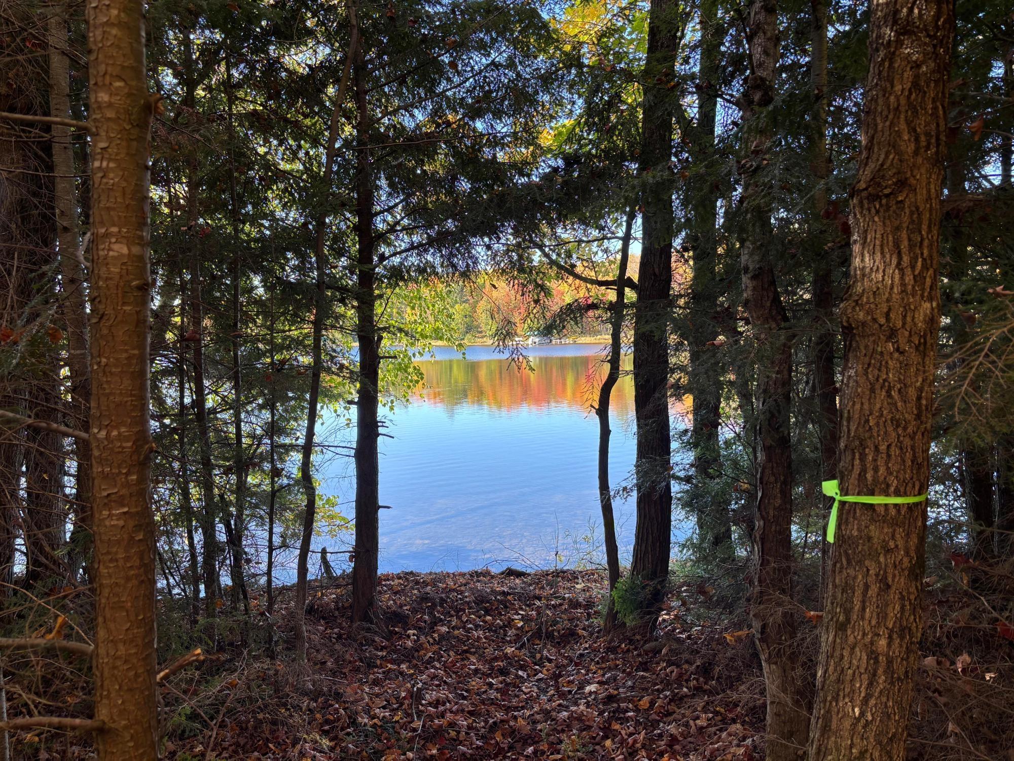 Spectacle Lake Property Lot 33 Nicolet Shores Ln Photo 12