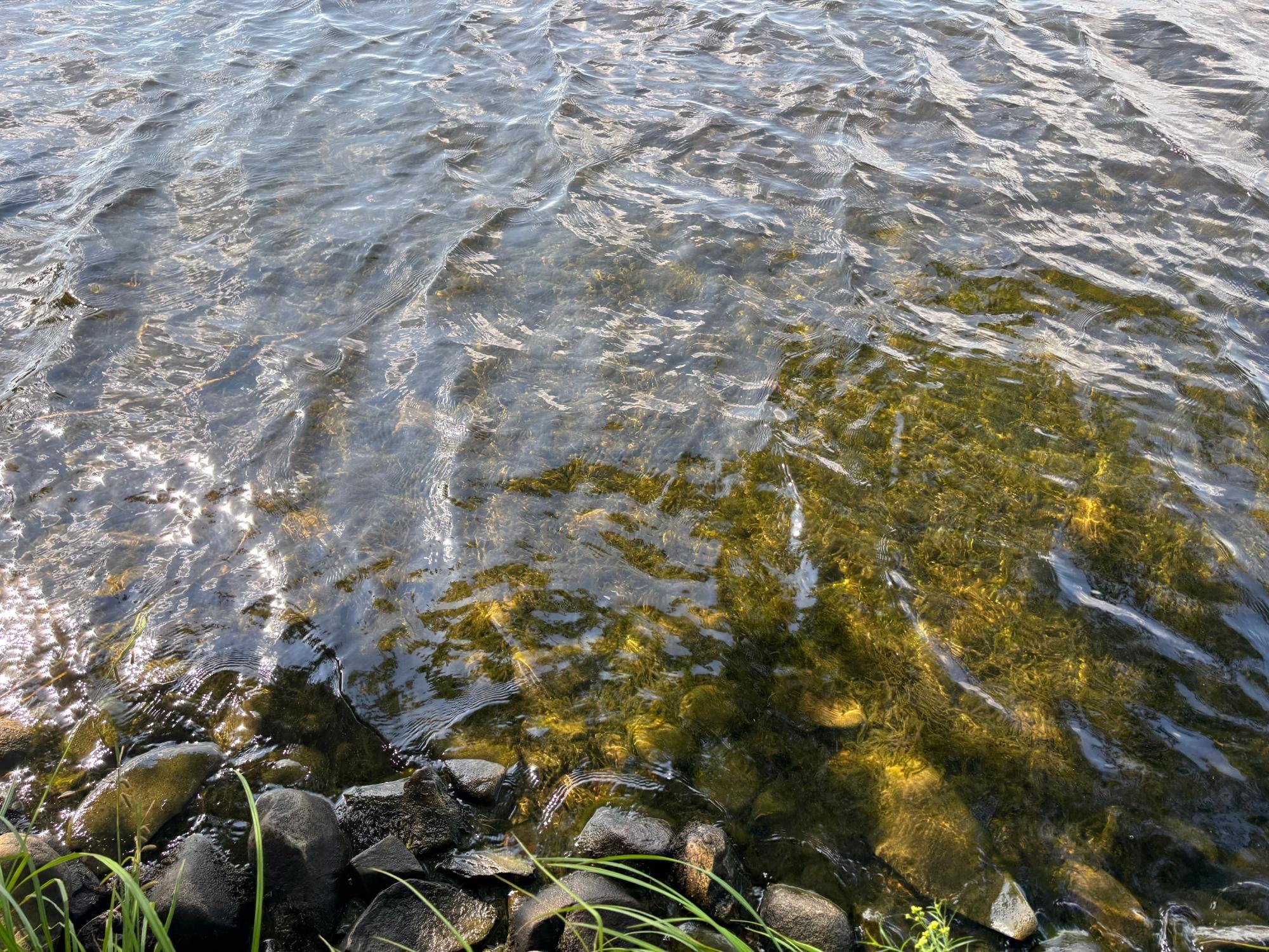 Spectacle Lake Property Lot 33 Nicolet Shores Ln Photo 14