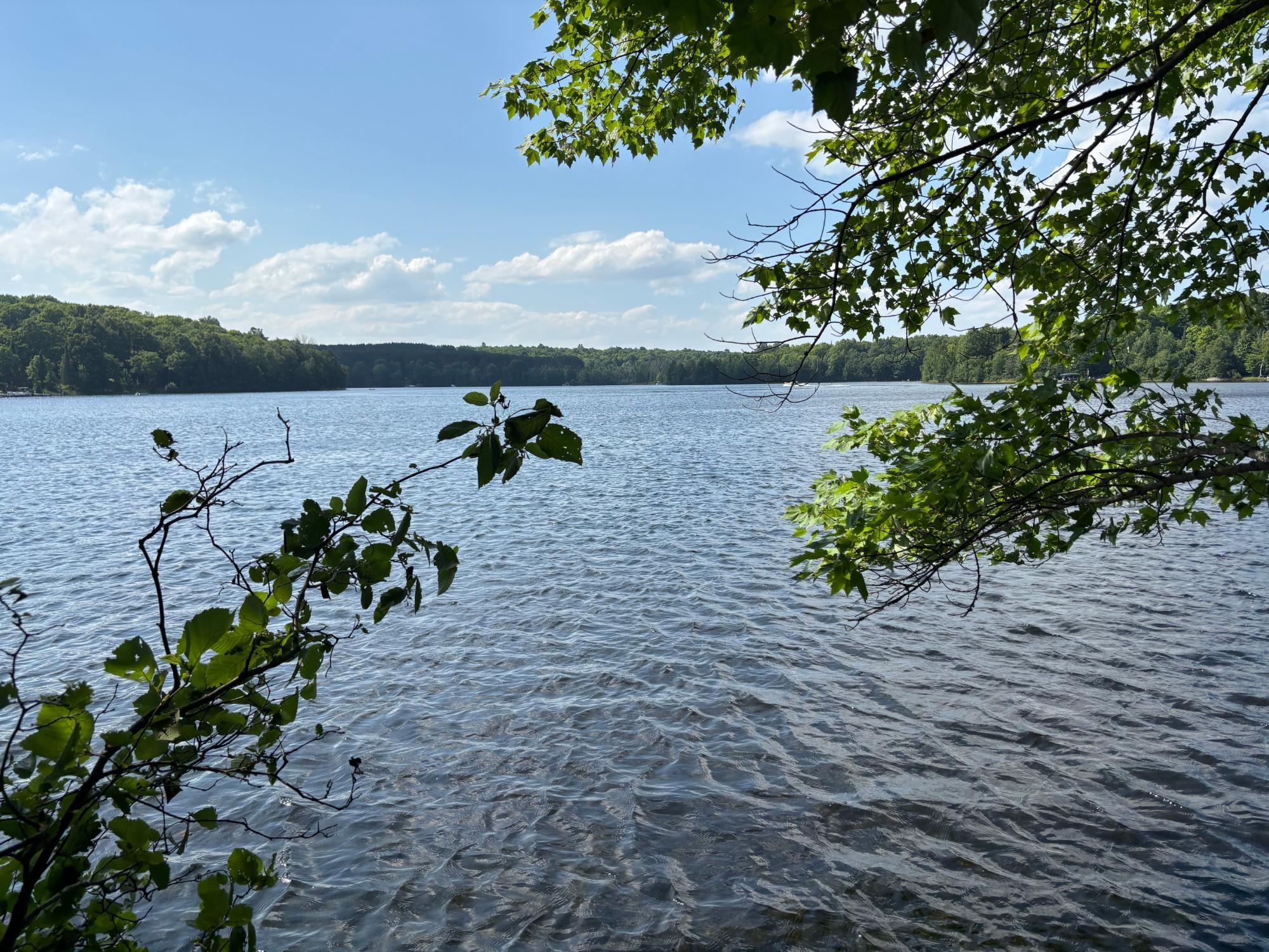 Spectacle Lake Property Lot 33 Nicolet Shores Ln Photo 15