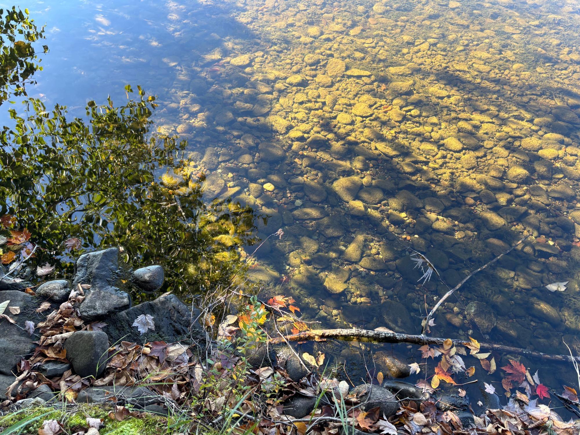 Spectacle Lake Property Lot 33 Nicolet Shores Ln Photo 18