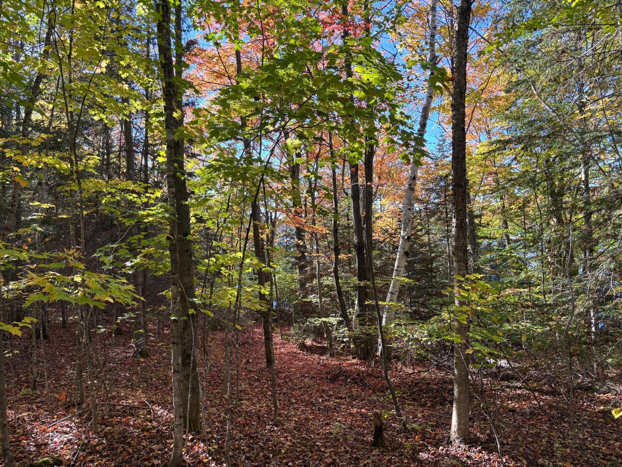 Spectacle Lake Property Lot 33 Nicolet Shores Ln Photo 8