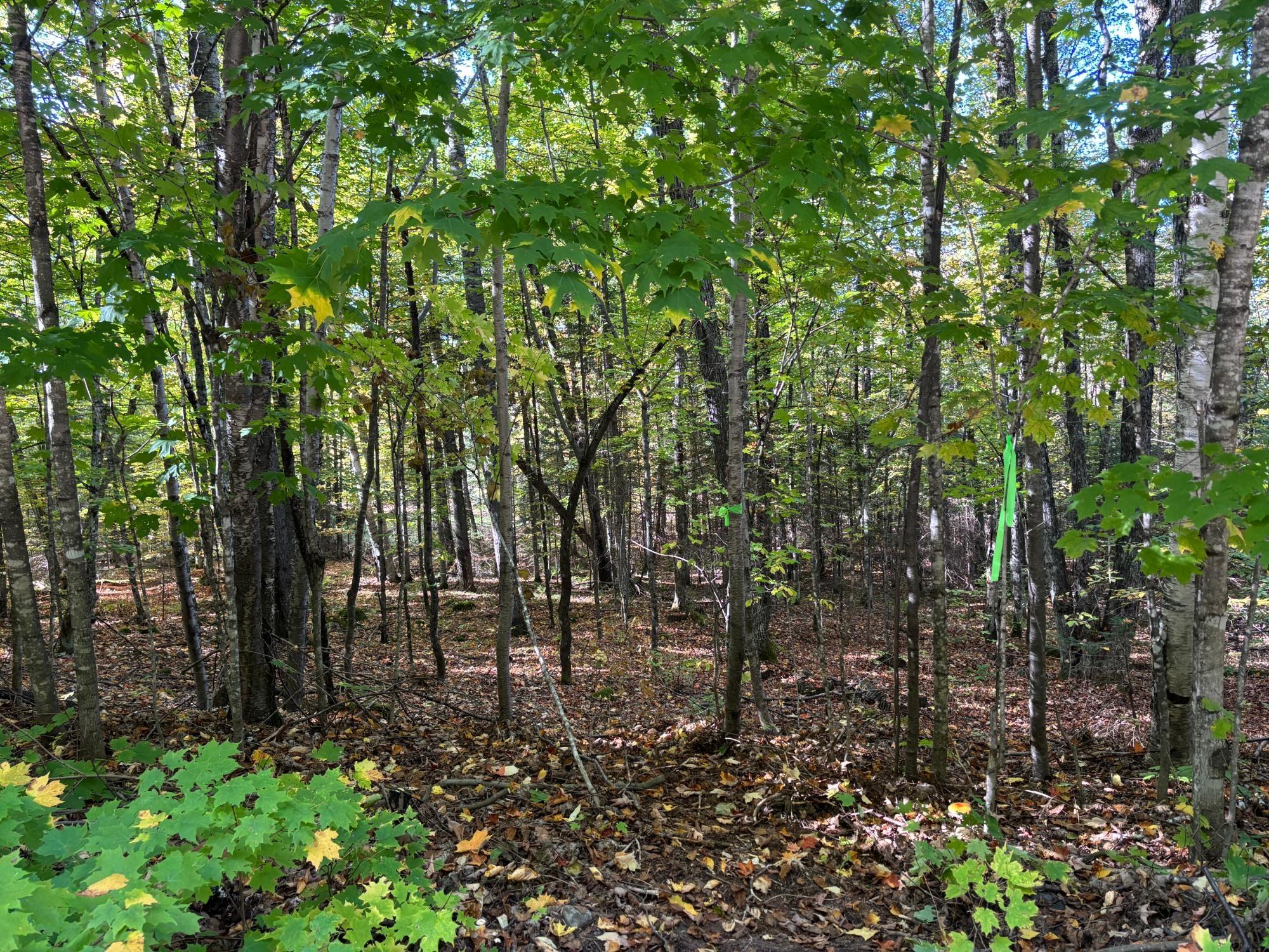 Spectacle Lake Property Lot 33 Nicolet Shores Ln Photo 9